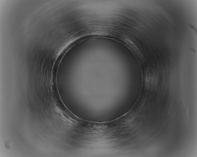 X0000100880484200807111346