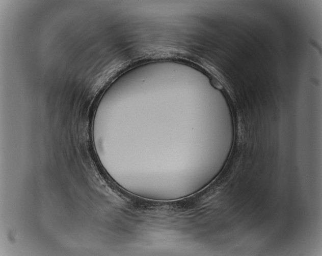 X0000100880485200807111346