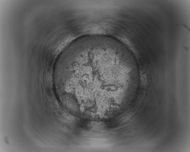 X0000100880487200807111346