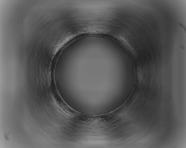 X0000100880488200807111346