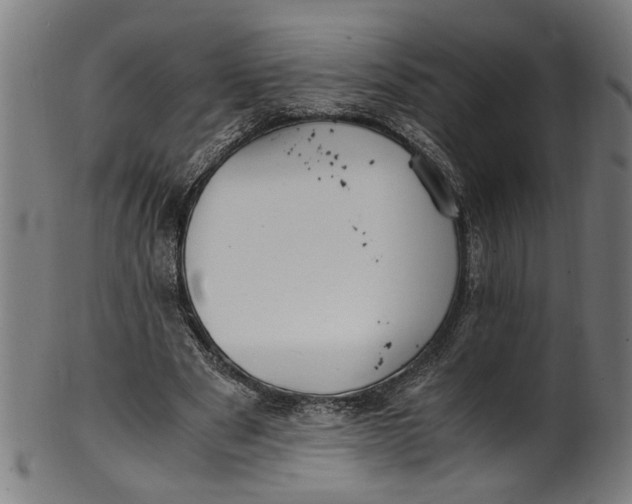 X0000100880489200807111346