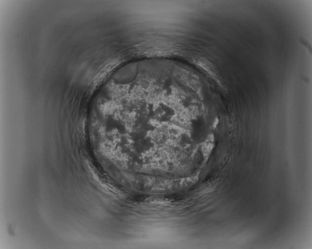 X0000100880491200807111346