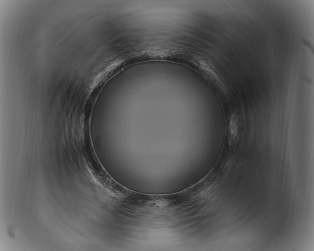 X0000100880492200807111346