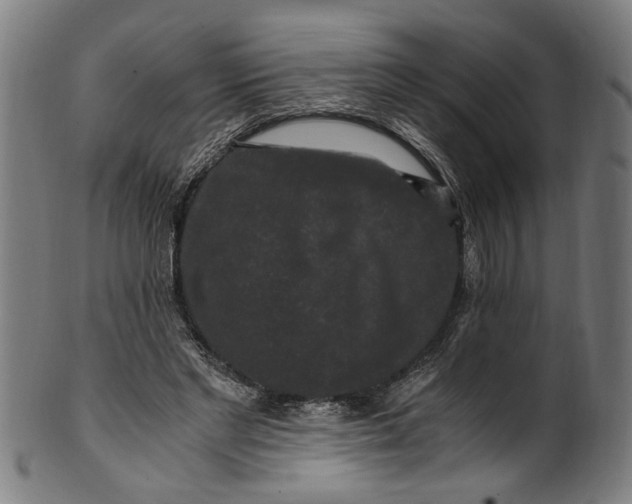 X0000100880493200807111346