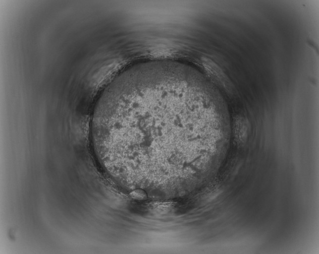 X0000100880495200807111346