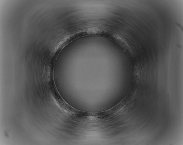 X0000100880496200807111346