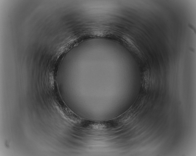 X0000100880500200807111346