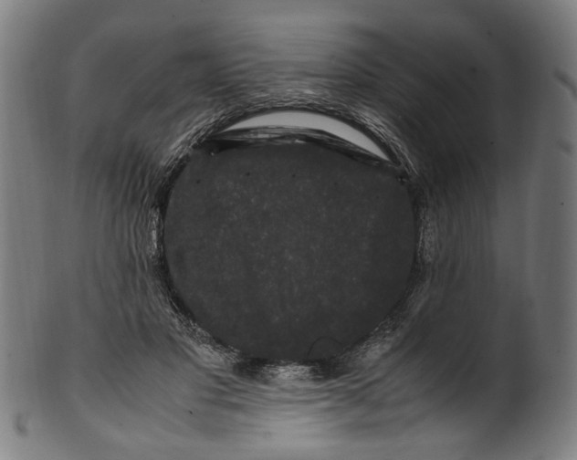 X0000100880501200807111346