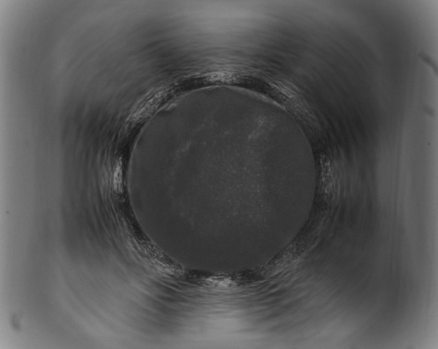 X0000100880502200807111346