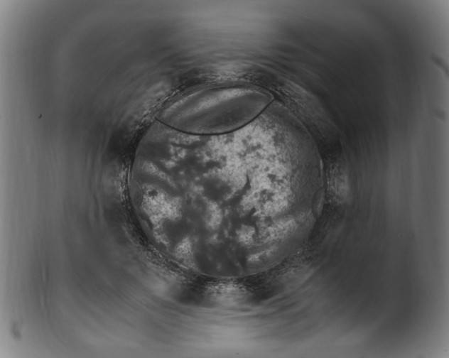 X0000100880503200807111346