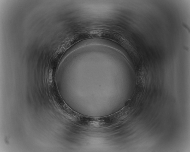 X0000100880504200807111346