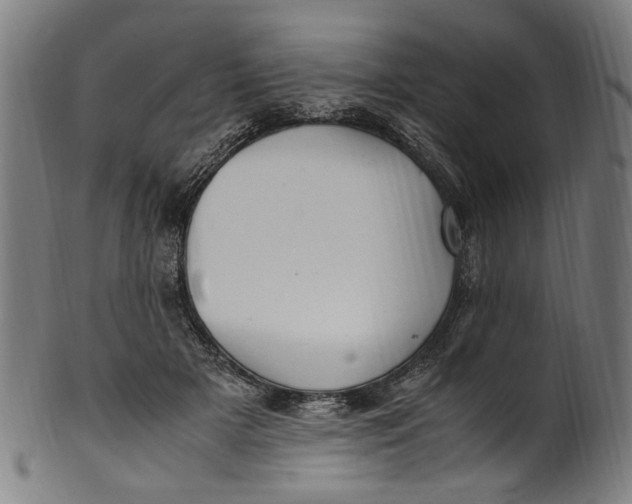 X0000100880505200807111346