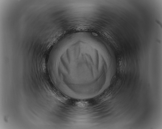 X0000100880508200807111346