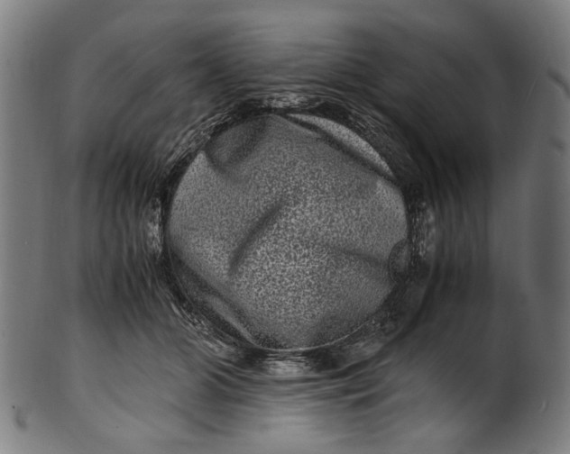 X0000100880510200807111346