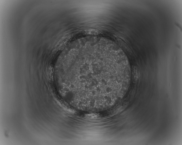 X0000100880511200807111346