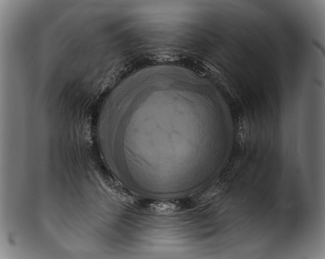 X0000100880512200807111346