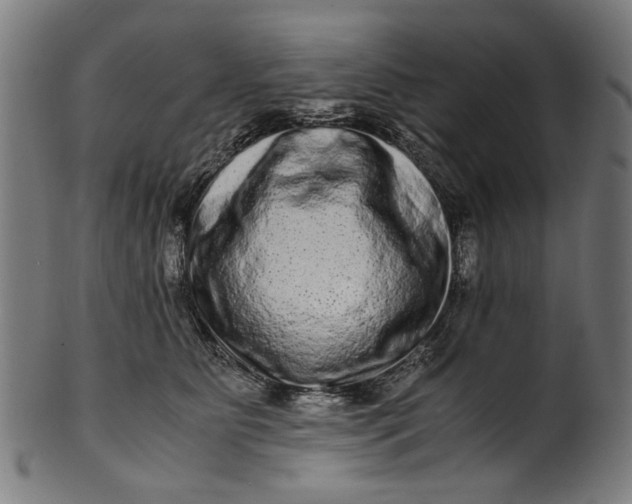 X0000100880515200807111346