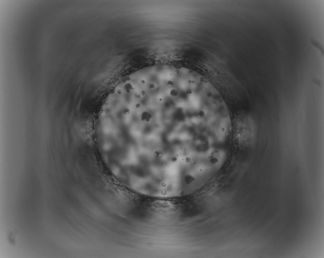 X0000100880519200807111346