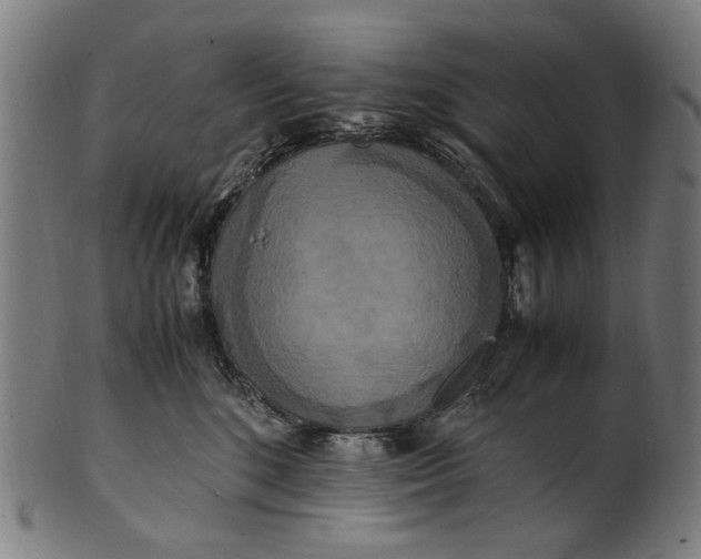 X0000100880520200807111346