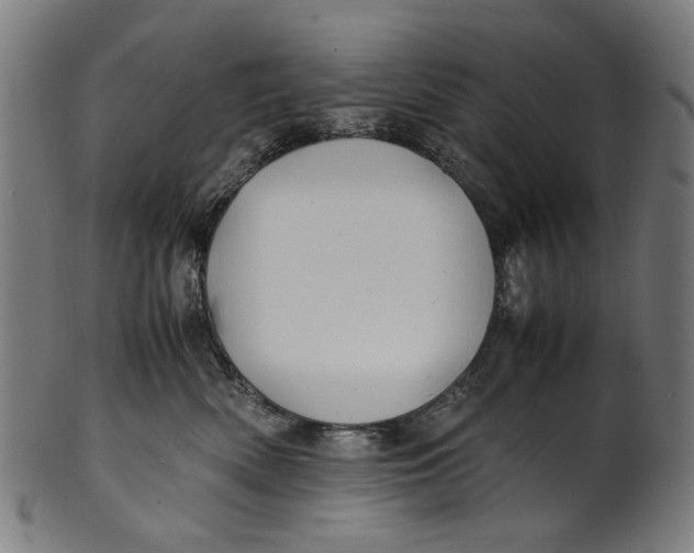 X0000100880522200807111346