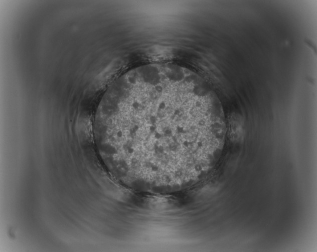 X0000100880523200807111346