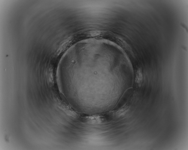 X0000100880524200807111345