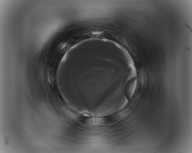 X0000100880526200807111345