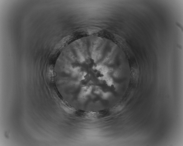 X0000100880527200807111345