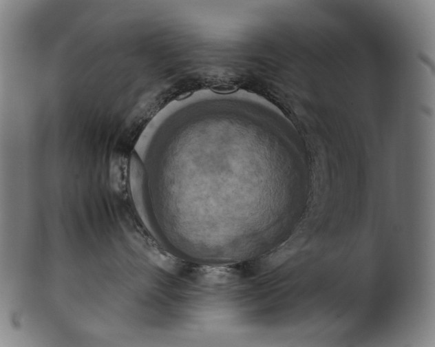 X0000100880528200807111345