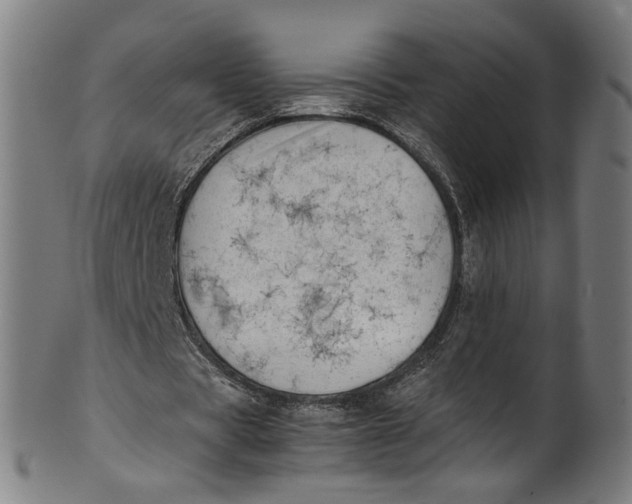 X0000100880529200807111345