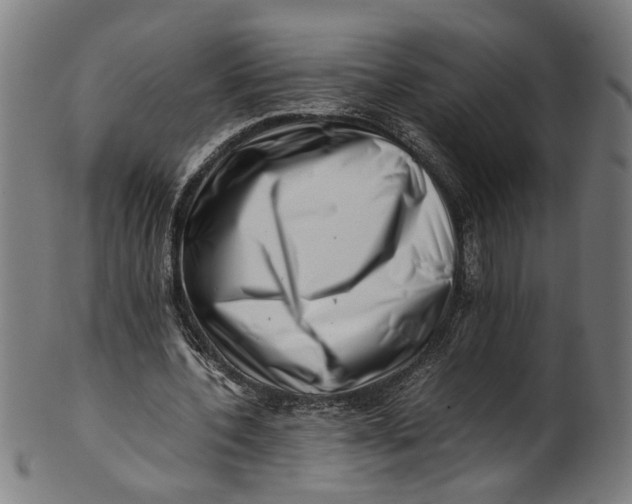 X0000100880532200807111345