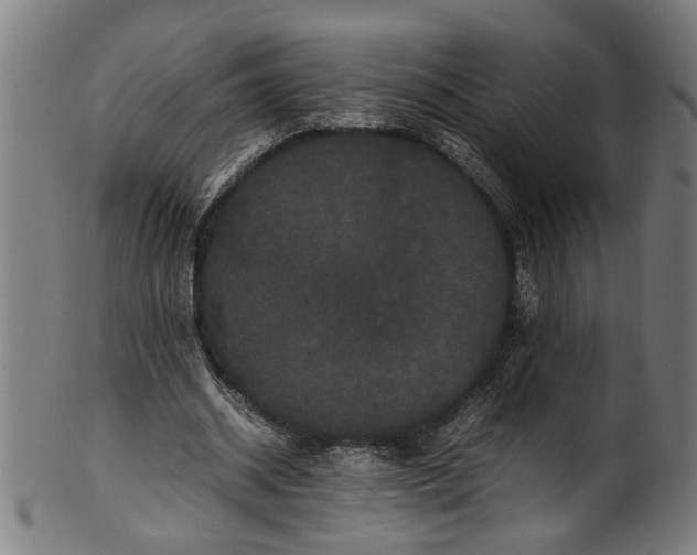 X0000100880534200807111345