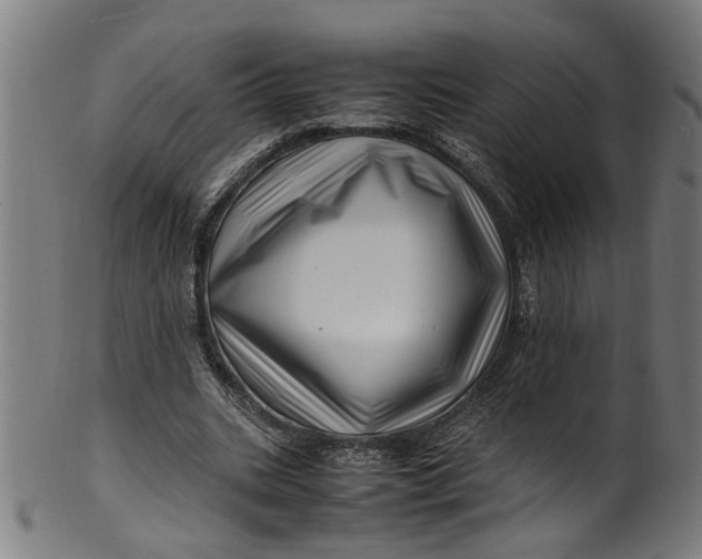 X0000100880535200807111345