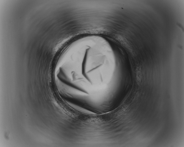 X0000100880536200807111345