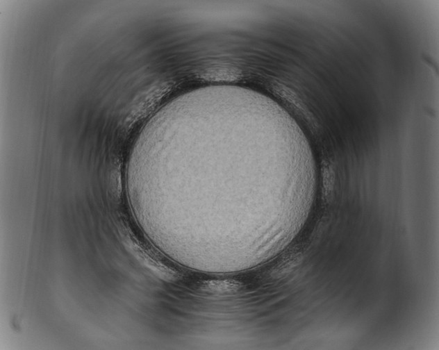 X0000100880541200807111345