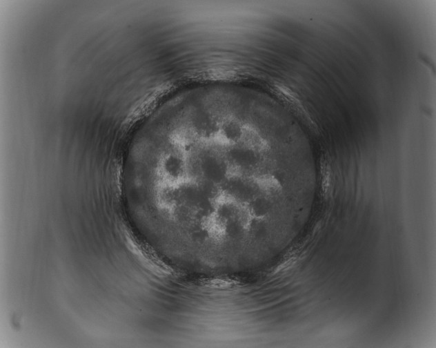 X0000100880542200807111345