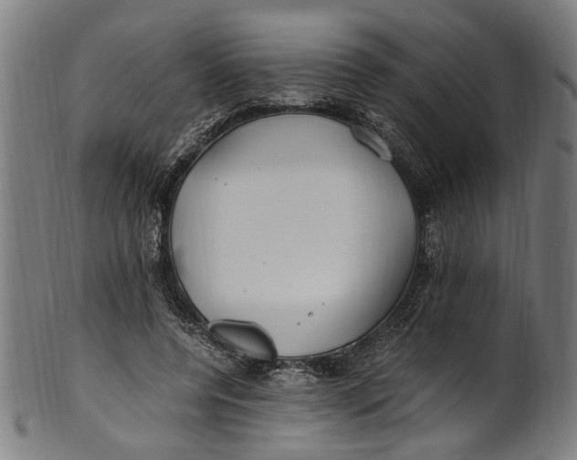 X0000100880544200807111345