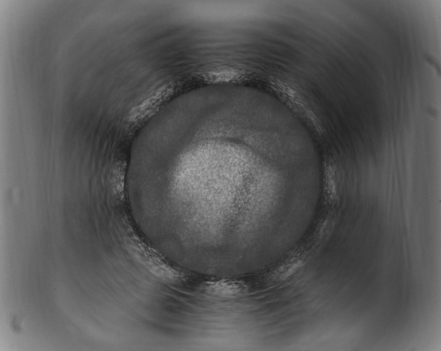 X0000100880545200807111345