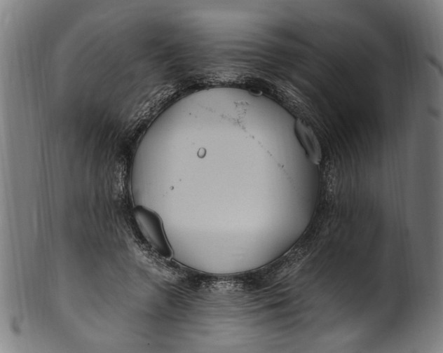 X0000100880546200807111345