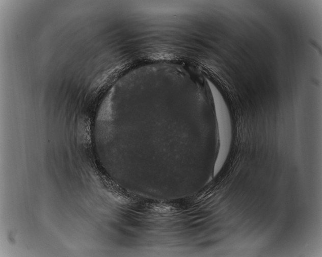 X0000100880547200807111345