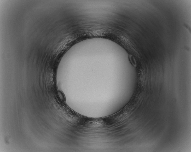 X0000100880548200807111345