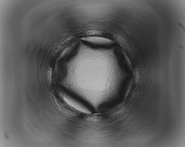 X0000100880550200807111345