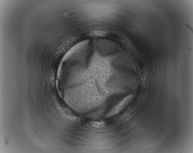 X0000100880552200807111345