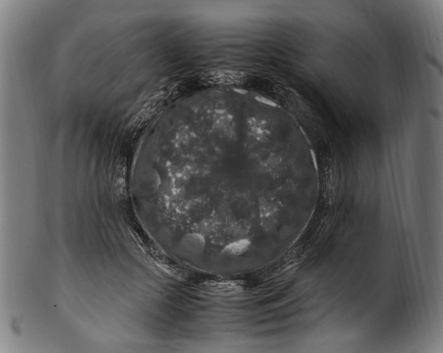 X0000100880553200807111345