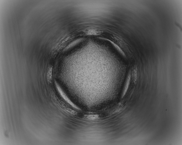 X0000100880554200807111345