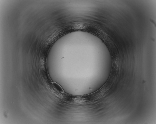 X0000100880556200807111345