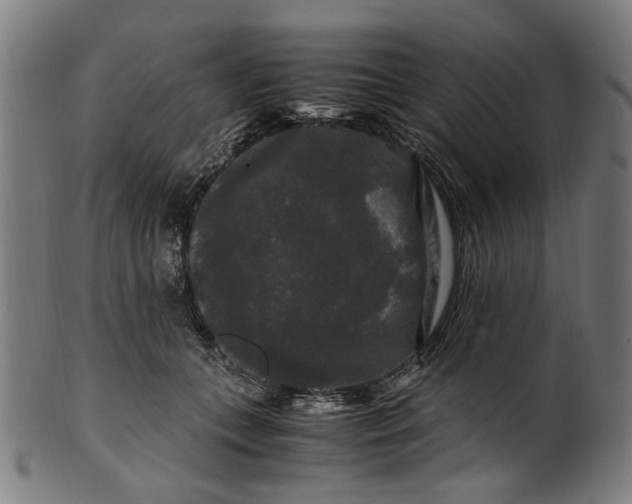 X0000100880559200807111345