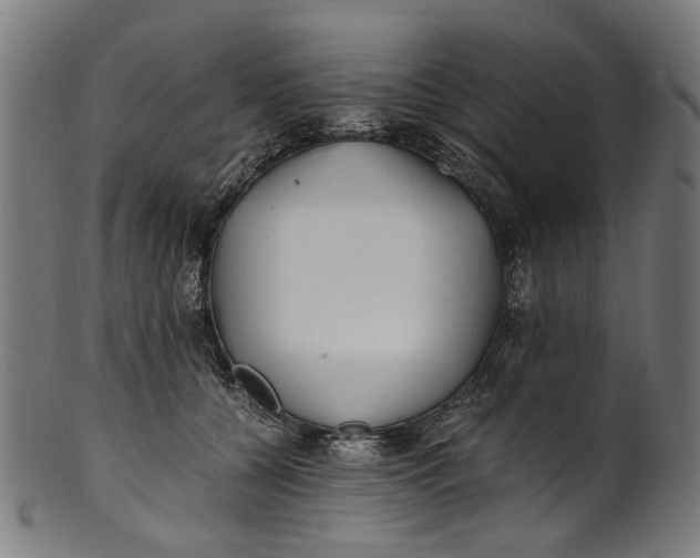 X0000100880560200807111345