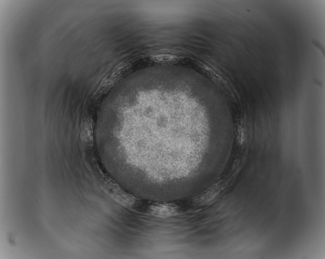 X0000100880561200807111345