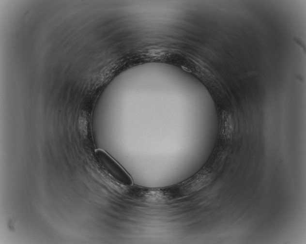 X0000100880562200807111345